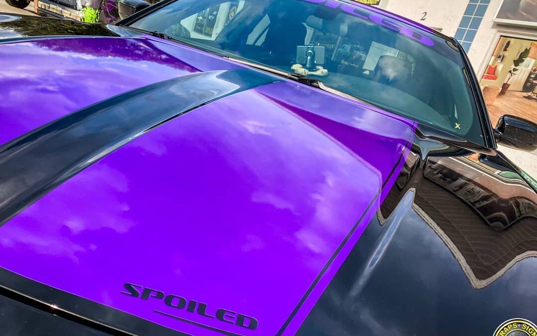 Black Dodge with Purple Stripe